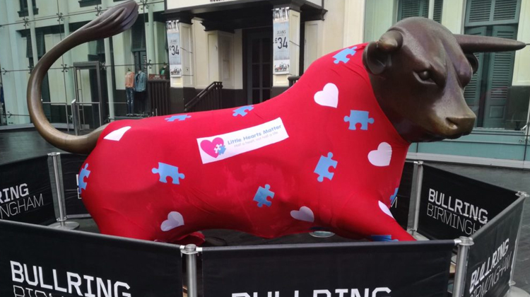 Small heart charity gives Birmingham bull a heartfelt makeover