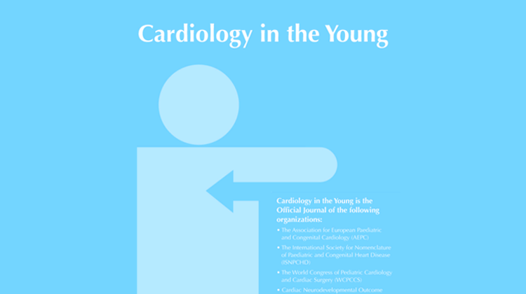 An improved congenital heart assessment tool: a quality improvement outcome