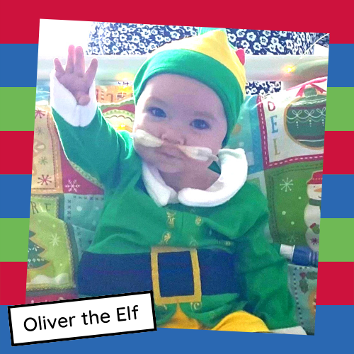 Oliver image (no caption) (300 × 300px) (500 × 500px)