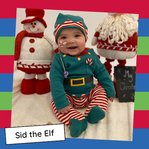 Sid image (caption) (300 × 300px) (500 × 500px)