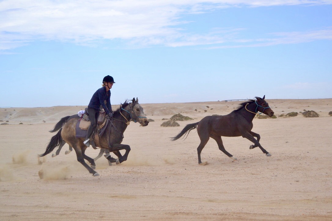 jaras horseriding